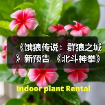 《饿狼传说：群狼之城》新预告 《北斗神拳》健次郎或参战（图1）