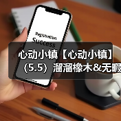心动小镇【心动小镇】（5.5）溜溜橡木&无暇萤石（图4）
