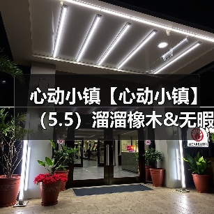 心动小镇【心动小镇】（5.5）溜溜橡木&无暇萤石（图1）