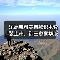 乐高宝可梦首款积木套装上市，御三家豪华版售价650美元（图4）