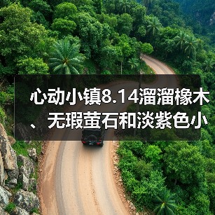 心动小镇8.14溜溜橡木、无瑕萤石和淡紫色小鸭子位置（图2）