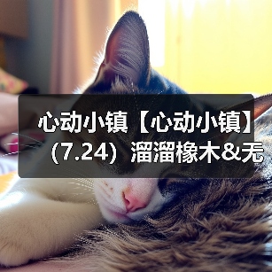 心动小镇【心动小镇】（7.24）溜溜橡木&无暇萤石（图2）
