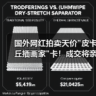 国外网红拍卖天价