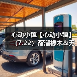 心动小镇【心动小镇】（7.22）溜溜橡木&无暇萤石（图3）