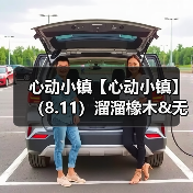 心动小镇【心动小镇】（8.11）溜溜橡木&无暇萤石（图1）