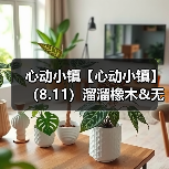 心动小镇【心动小镇】（8.11）溜溜橡木&无暇萤石（图2）