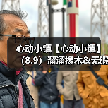 心动小镇【心动小镇】（8.9）溜溜橡木&无暇萤石（图1）
