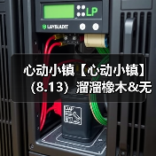 心动小镇【心动小镇】（8.13）溜溜橡木&无暇萤石（图1）