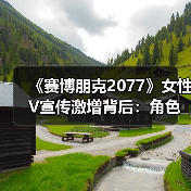 《赛博朋克2077》女性V宣传激增背后:角色曝光如何平衡?(图1) 《赛博朋克2077》女性V宣传激增背后:角色曝光如何平衡?(图1)