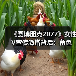 《赛博朋克2077》女性V宣传激增背后:角色曝光如何平衡?(图2) 《赛博朋克2077》女性V宣传激增背后:角色曝光如何平衡?(图2)