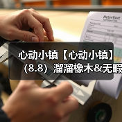 心动小镇【心动小镇】（8.8）溜溜橡木&无暇萤石（图2）
