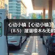 心动小镇【心动小镇】（8.5）溜溜橡木&无暇萤石（图4）