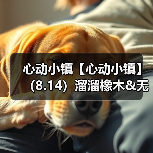心动小镇【心动小镇】(8.14)溜溜橡木&无暇萤石(图1) 心动小镇【心动小镇】(8.14)溜溜橡木&无暇萤石(图1)