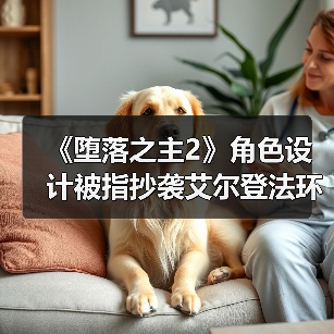《堕落之主2》角色设计被指抄袭艾尔登法环?官方回应引争议(图2) 《堕落之主2》角色设计被指抄袭艾尔登法环?官方回应引争议(图2)