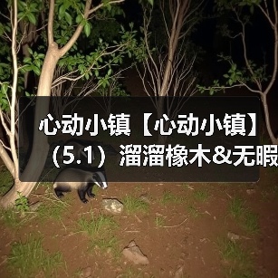 心动小镇【心动小镇】(5.1)溜溜橡木&无暇萤石(图2) 心动小镇【心动小镇】(5.1)溜溜橡木&无暇萤石(图2)