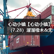 心动小镇【心动小镇】(7.28)溜溜橡木&无瑕萤石(图4) 心动小镇【心动小镇】(7.28)溜溜橡木&无瑕萤石(图4)
