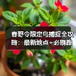 春野令限定鸟捕捉全攻略：最新地点+必刷路线+隐藏区域！（图3）