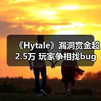 《Hytale》漏洞赏金超2.5万 玩家争相找bug引热议(图3) 《Hytale》漏洞赏金超2.5万 玩家争相找bug引热议(图3)
