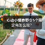 心动小镇春野令5个限定鸟怎么找？（图2）