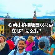 心动小镇稚趣园观鸟点在哪？怎么找？（图4）