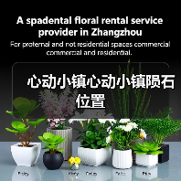 心动小镇心动小镇陨石位置（图3）