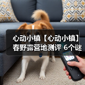 心动小镇【心动小镇】春野露营地测评 6个谜面位置（图3）