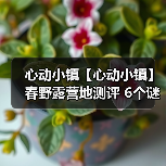 心动小镇【心动小镇】春野露营地测评 6个谜面位置（图4）